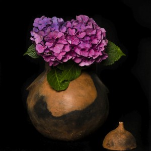 terra-artes-11