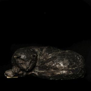terra-artes-17