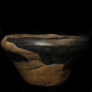 terra-artes-20
